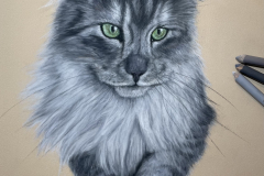 13C3CE3A-3E03-4FDF-9768-60E8A8757E24