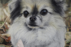 172762F0-FE78-4DB7-B13B-49461925B383