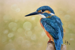 477479BE-57E5-4608-AC9B-071B93410397