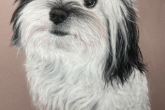 4ADA8F45-C1DF-47CD-B79F-EF60C1DBE654