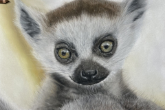 603D9D5F-41BA-4865-9D62-EEA5B68B2A51