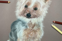 64DD4922-83D2-4E61-A267-4608A220352E