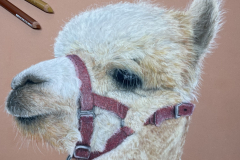 78CC00D2-B2A5-4D77-B765-C2A66BC4FBAF