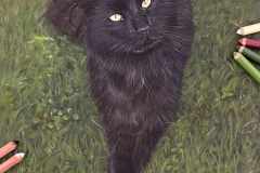 7AD17351-10B5-48B0-8AE3-A3DDA360921D