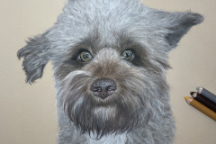 83F5A555-4035-4914-9799-017BCABB5D6B