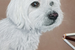 90923402-D1E8-4D86-8074-EA506AA1C7FC