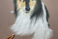 91F3C917-A270-4A9B-9281-FDC5D22DFF02