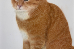 99F9A3F6-A539-4CBE-863C-1AB7E9DE81D9