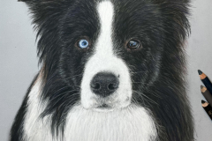 A83BB514-F2F4-4524-B192-C23ACAF7369B