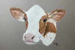 B34ED40C-12F6-4876-87FD-49B574D6CCD8