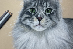 B4868EB3-3413-4264-869F-3AD756685170