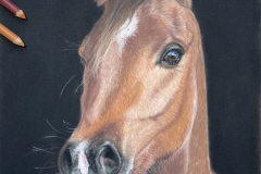 C76ADAC2-8A43-443C-BFA4-F8BDF634E72D