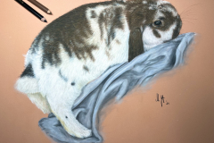 DC137BC7-7C69-42DE-9CB9-62B50E9A5100