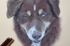 DC734A53-B303-4958-B6DD-65E6A7B867AE