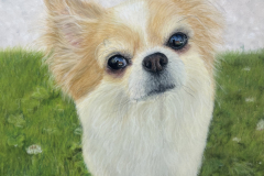 E2114500-70B7-47E1-A12B-9B8BD6E5D3EF