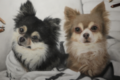 E468B2B4-F59C-4846-B44B-CCCFFEC5E4EC