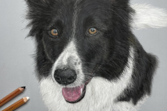 E55ED046-5541-4BB8-BCCE-5ADF54C75657